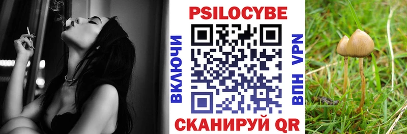 Купить  Новомичуринск  Псилоцибиновые грибы прущие грибы 